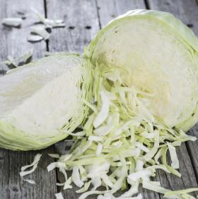 bio kraut cabbage