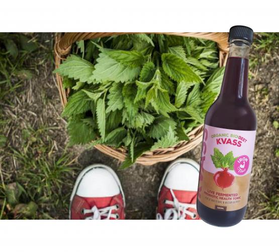 Beet Kvass Iron Tonic