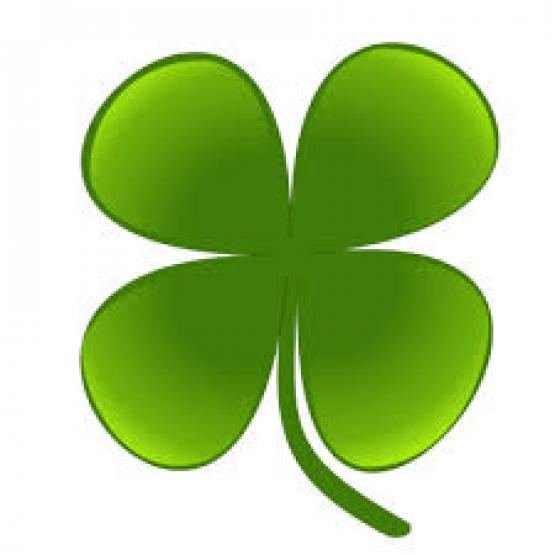 green clover 4 leaf